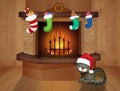 Cat in front of the fireplace for Christmas Royalty Free Stock Photo