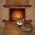 Cat in front of the fireplace Royalty Free Stock Photo