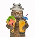 Cat in a funny hat with soft waffles Royalty Free Stock Photo