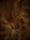 A cat fur background Royalty Free Stock Photo