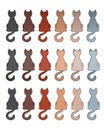 Cat fur color coats