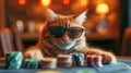 A cat gambler in sunglasses makes stacks in a casino. Generative AI