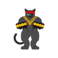 Cat Gangsta isolated. Angry pet bully member of gang of street criminals. Tattoos and weapons, gold chain and gun Royalty Free Stock Photo