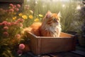 Cat garden box. Generate Ai Royalty Free Stock Photo