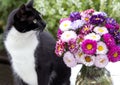 Cat in garden with summer bouquet Royalty Free Stock Photo