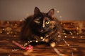 Cat with a garland and a candy cane on wooden boards