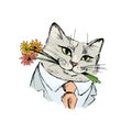 Cat gentleman with bouquet of flowers in the teeth