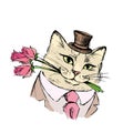 Cat gentleman with bouquet of flowers in the teeth