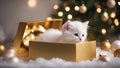 cat with gift box An adorable kitten with a snowy white coat, playing peek-a-boo from inside a festive Christmas gift Royalty Free Stock Photo