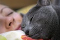 Cat and girl sleep Royalty Free Stock Photo