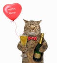 Cat with glass of wine and balloon Royalty Free Stock Photo