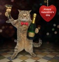 Cat with glass of wine makes a toast Royalty Free Stock Photo