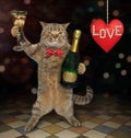 Cat with glass of wine makes a toast 2 Royalty Free Stock Photo