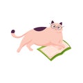 Cat in glasses lying with open book. Illustration of cat reading book. Cozy concept. Study and relax at home. Royalty Free Stock Photo