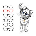 Cat with glasses. Painted stylized image of a cat on a white background, who wears glasses. Choosing glasses for eyes. The selecti Royalty Free Stock Photo