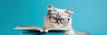 cat in glasses reading a book on blue background, we banner format Royalty Free Stock Photo