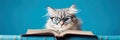 cat in glasses reading a book on blue background, we banner format Royalty Free Stock Photo