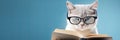 cat in glasses reading a book on blue background, we banner format Royalty Free Stock Photo