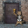 Cat with goblet near door of castle