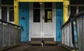 The cat goes to the old wooden house