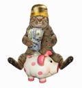 Cat with dollars near a piggy bank 2 Royalty Free Stock Photo