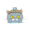 A cat with a gold tiara and a blue crystal Royalty Free Stock Photo