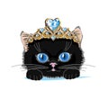 A cat with a gold tiara and a blue crystal Royalty Free Stock Photo