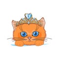 A cat with a gold tiara and a blue crystal Royalty Free Stock Photo