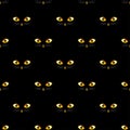 Cat Golden Eye Seamless on Black Background. Vector Illustration. Royalty Free Stock Photo