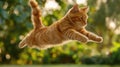 The cat gracefully jumps through the air in a sunny outdoor setting..AI generated image Royalty Free Stock Photo