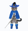 Cat gray in blue cloak with sword