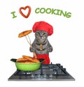 Cat gray cooks fried fish on stove Royalty Free Stock Photo