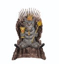 Cat gray in crown on metal throne Royalty Free Stock Photo