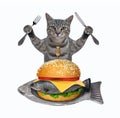 Cat gray eats fish burger on plate Royalty Free Stock Photo