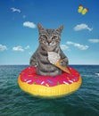 Cat gray eats ice cream on inflatable donut