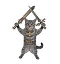 Cat gray holds crossed swords 3