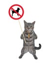 Cat gray holds dog prohibition sign