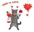 Cat gray holds hourglass with hearts 2 Royalty Free Stock Photo