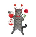 Cat gray holds hourglass with hearts Royalty Free Stock Photo