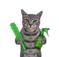 Cat gray holds spray and dust brush