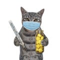 Cat gray in mask with thermometer Royalty Free Stock Photo