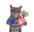 Cat gray with piggy bank and credit card Royalty Free Stock Photo