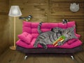 Cat gray on pink divan with hot dog 2 Royalty Free Stock Photo