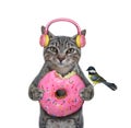 Cat gray in pink donut earphones