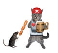 Cat gray pirate drinks beer 2 Royalty Free Stock Photo