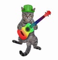 Cat gray playing colored guitar Royalty Free Stock Photo