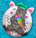 Cat gray in pool on inflatable white ring