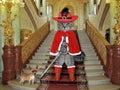 Cat gray in red cloak on castle stairs