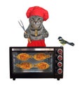 Cat gray in red hat cooks fish in oven 2 Royalty Free Stock Photo