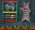 Cat gray teacher wrote meow